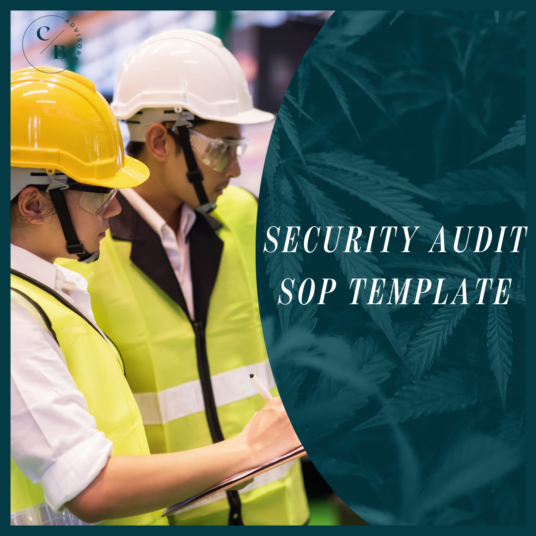 Security Audit SOP